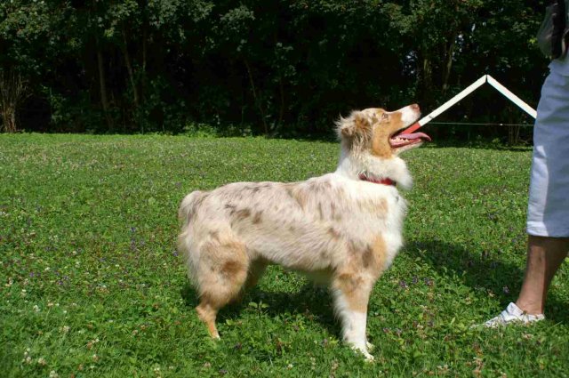 obeissance 2014-08-02